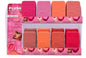 BC- Bouncy Blush Plush Collection Display 48pcs+ 8 testers (1display)