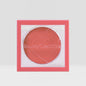 Blush Hush Powder Blush(6 pcs)