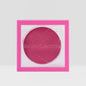 Blush Hush Powder Blush(6 pcs)