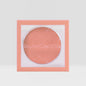Blush Hush Powder Blush(6 pcs)