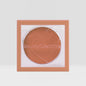 Blush Hush Powder Blush(6 pcs)