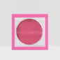 Blush Hush Powder Blush(6 pcs)